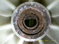 wp6be11093.jpg